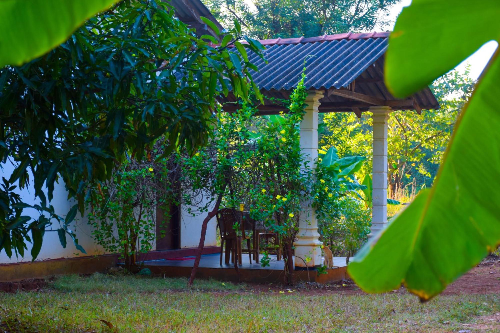 Senu Homestay Sigiriya Exterior photo